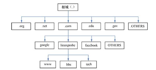深入解析Linux網(wǎng)絡服務 DNS服務詳解