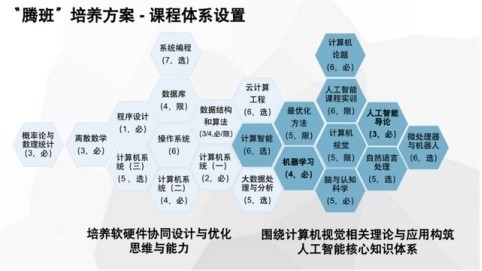 從象牙塔到鵝場 00后開發者如何用AI技術讓鵝群存活率飆升30%